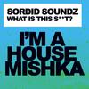 What Is This S**T? (Extended Mix) - Sordid Soundz