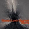 Law Years - Daniel Levin Quartet&Daniel Levin&Nate Wooley&Matt Moran