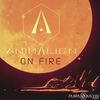 Spit Of Light (Original Mix) - Animalien&Oksha