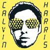 Merrymaking at My Place - Calvin Harris