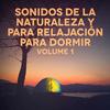 Sonidos del Bosque: Primavera, Vientos y el Mirlo - Michael Hamilton