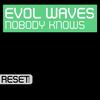 Nobody Knows (Original Mix) - Evol Waves