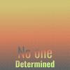 No one Determined - Liel Linlin