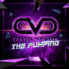 The Pumping (Original Mix) - Costel Van Dein