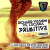 Primitive (Brian Matrix Heartfelt Sounds Remix) - Richard Vission&Luciana