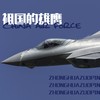 祖国的雄鹰 - 中华