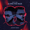 Along The Maze (Antdot Remix) - Maty Owl