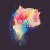 Show Me - Big Wild&Hundred Waters