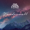 Wonderwall (feat. Emelie Cyréus) - Chad Cooper&Robaer&Emelie Cyréus