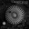 Balance (Original Mix) - Robert Shiver