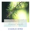 In A Mellotone - Charlie Byrd