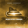 Spatial (Radio Mix) - Omeed Damerchi