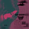 Say goodbye (Explicit) - Zaza2raw