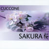 Twelve Steps - Cuccone&Jarno Kukkonen&Andy Middleton&Ron McClure&Marcello Pellitteri