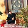 Fac Ce Vrea Inima Ta(feat. Liviu Guta) - Florin Salam&Liviu Guta