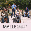 Orquesta en el Manicomio - Malle