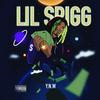 Fake love(feat. Lu Bundy) (Explicit) - Lil Spigg&Lu Bundy