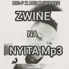 zwine nanyita(feat. Aks & Skyzee) - BIG-P SA&SKYZEE&AKS