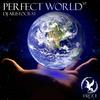 Perfect World (Extended Mix) - DJ Aristocrat