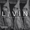Livin (Explicit) - Remi&Sensible J