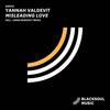 Misleading Love (James Benedict Remix) - Yannah Valdevit&James Benedict