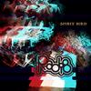 Spirit Bird - RADI8