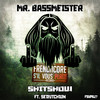 Shitshow - Mr. Bassmeister&Sedutchion
