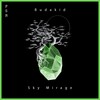 Sky Mirage (Armen Miran Remix) - Budakid&Armen Miran