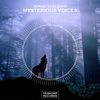 Mysterious Voices (Original Mix) - Sergei Vasilenko