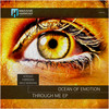 Through Me (Nick Newman Remix) - Ocean of Emotion&Nick Newman