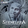 Shebeleza - Dr Malinga&Beat Movement