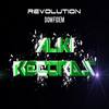 Revolution (Original Mix) - Dom Fidem