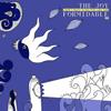 While The Flies - The Joy Formidable