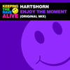 Enjoy The Moment (Original Mix) - Hartshorn