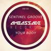 Your Body (Radio Edit) - Sentinel Groove