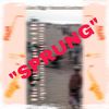 Sprung(feat. Aleg Rigg) - Samuel Andres&Aleg Rigg