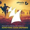 Something Good (Rene LaVice Remix) - MOUNT&Nicolas Haelg