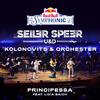 Principessa (Red Bull Symphonic) [feat. Lidia Baich] (Live) - Seiler und Speer&Christian Kolonovits&Max Steiner Orchester&lidia baich