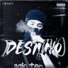 Destino (feat. LEOR PRODUCTIONS) (Explicit) - Ury433&LEOR PRODUCTIONS