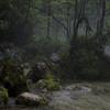 Relaxing rain sound in the forest - Dangel