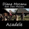 Acadele - Diana Mocanu&Dani Mocanu