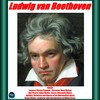 Act 1 No. 2 Arie - O wär ich schon - Coro e Orchestra della Metropolitan Opera&Bruno Walter&Herbert Janssen&René Maison&Alexander Kipnis&Kirsten Flagstad&Julius Huehn&Marita Farell&Karl Laufkötter&Emery Darcy&John Gurney