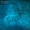 Paragraphs (Original Mix) - Schuerfes