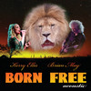 Born Free (Acoustic Version) - Brian May&Kerry Ellis