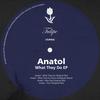 Put It (Original Mix) - Anatol