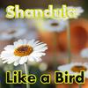 Like A Bird (Original Mix) - Shandula