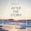 After the Storm - DMTunes