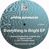 Everything Is Bright (Aback Remix) - Stoned Butterflies