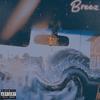 Letting Out The Smoke(feat. Pro Knows Music) (SkySplitterInk Remix|Explicit) - Breez&Pro Knows Music&SkySplitterInk