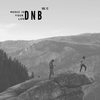 Dnb Check (Original Mix) - Flanger Drummer